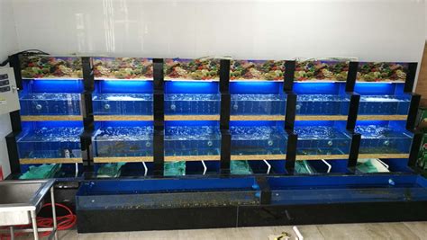 安阳观赏鱼市场做一个长条形鱼缸 - 除藻剂 - 广州观赏鱼批发市场