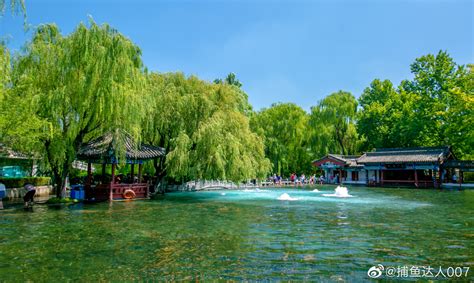 梅花泉---章丘百脉泉公园@济南市文化和旅游局 @中国摄影师联盟|章丘|梅花泉|百脉泉公园_新浪新闻