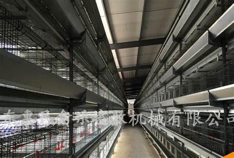 广州市华南畜牧设备有限公司——养鸡设备|养猪设备|畜牧设备