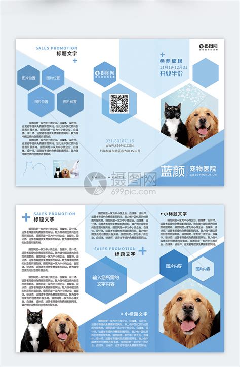 蓝色宠物医院介绍活动宣传三折页模板素材-正版图片400879004-摄图网