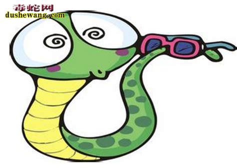 蛇的幽默笑话_养蛇笑话_毒蛇网