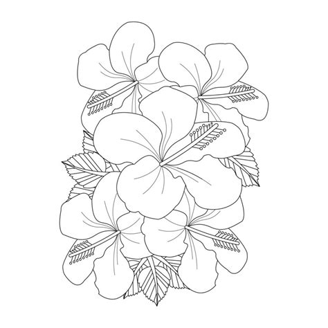 Hibiscus Flower Coloring Page 19902708 Vector Art at Vecteezy
