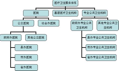 2016年中国中国医疗服务体系现状分析 【图】_智研咨询