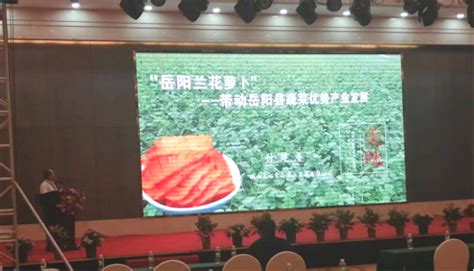 岳阳县5家优秀蔬菜企业组团参加第三届 全国萝卜产业发展大会-岳阳县政府网