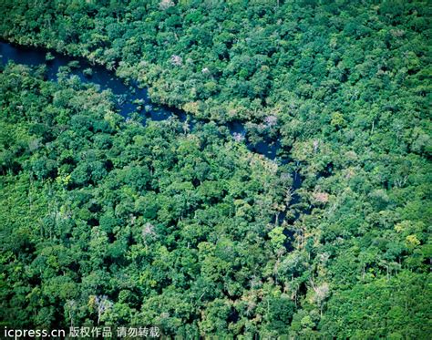 南美洲—亚马逊森林 亚马逊热带雨林位于南美洲的亚马逊盆地……|南美洲_新浪新闻