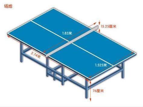 画一张乒乓球桌平面图(标示所以数字)_百度知道
