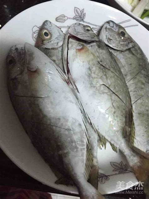 广西常见鱼类,广西淡水鱼种类大全,广西鱼类品种图片(第10页)_大山谷图库