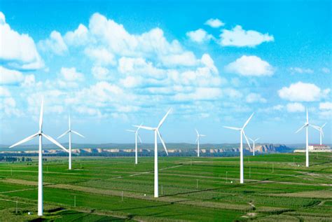 聚焦丨吉林电网风力发电电力、电量双创历史新高_社会热点_社会频道_云南网