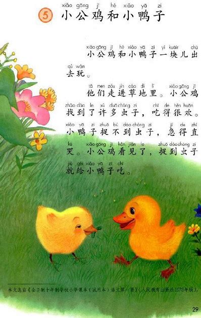《小公鸡和小鸭子》讲解+知识点归纳-小学教育-小学教育-杭州19楼
