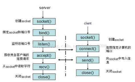 一文搞懂Linux的Socket编程原理(含实例解析) - 知乎