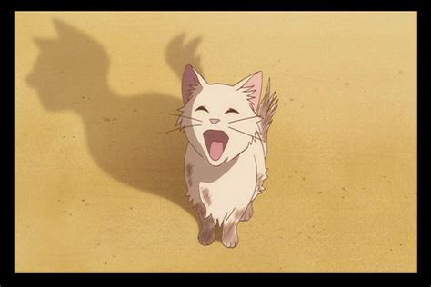爱猫人士必看猫片：宫崎骏《猫的报恩》|宫崎骏|猫的报恩|爱猫_新浪新闻