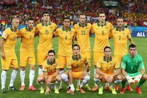 2022年世界杯澳大利亚国家队阵容表：令人期待(阵容介绍)_奇趣解密网