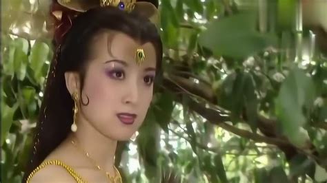 王子和公主 西双版纳最经典的爱情故事 | 云南民族文化音像出版社