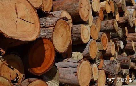 木材的种类有哪些 5中常见木材介绍