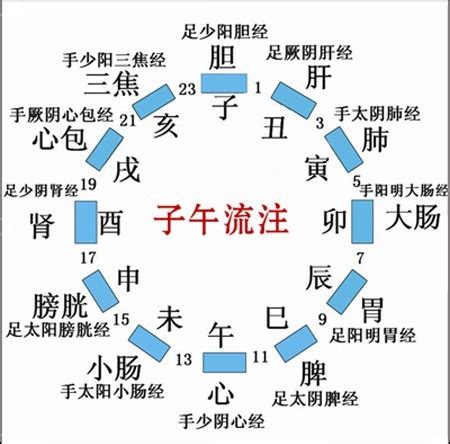 子午流注图图片