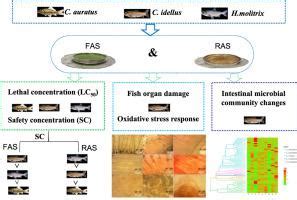 淡水和腐烂藻类对淡水鱼的生物毒性：LC 50 ，器官损伤和抗氧化反应,Journal of Hazardous Materials - X-MOL