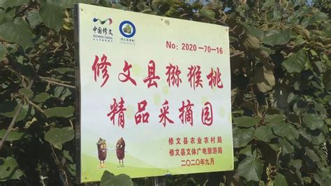 第五届贵阳（修文）猕猴桃节暨修文县第二届乡村旅游发展大会举行-国际在线