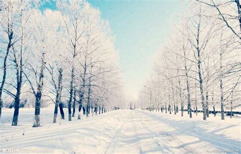 形容冬天的诗句，形容冬天的诗句唯美古诗_速网
