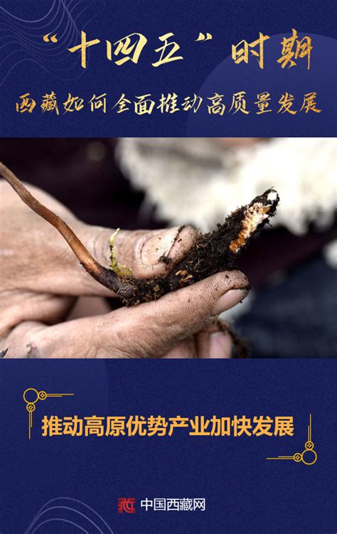 海报｜金秋西藏，又是一年好“丰”景_海口网