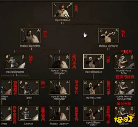 《骑马与砍杀2》NPC装备怎么搭配 最强NPC装备搭配攻略_九游手机游戏