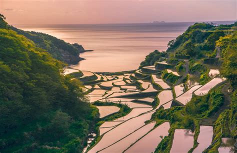 Southern Japan: Why to Visit and What to Know | Intrepid Travel Blog