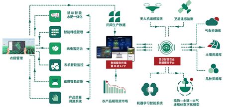 中国首个基于生产数据进行决策的智慧农业系统「数智丰农」亮相|田间|农民|管理系统_新浪新闻