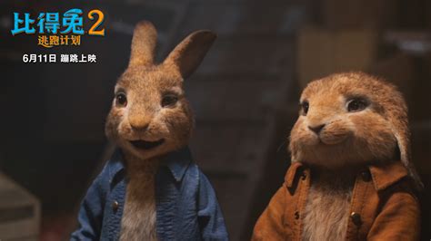 《比得兔2：逃跑计划》确认引进 2分钟特效大片揭秘兔头成名史 - 360娱乐，你开心就好