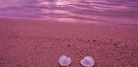 少女心炸裂，梦幻的粉色沙滩，每粒沙子都藏着一段爱情故事