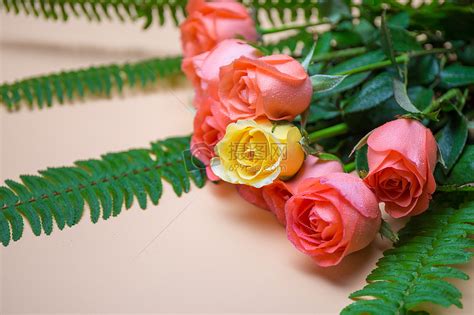 520温馨浪漫玫瑰花高清图片下载-正版图片500552198-摄图网
