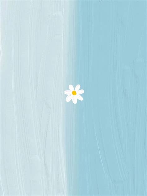 壁纸:花、太阳、雨和你