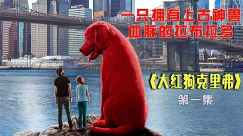 大红狗克里弗：从没见过这么奇怪的狗子，不仅毛是红色的，体型更是比大象还大_腾讯视频