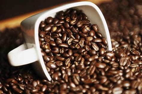 苏门答腊曼特宁拼配咖啡豆风味特点 曼特宁咖啡拼配介绍 中国咖啡网