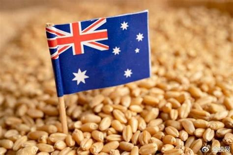 中国终于取消大麦关税！澳大利亚却“得寸进尺”？__财经头条