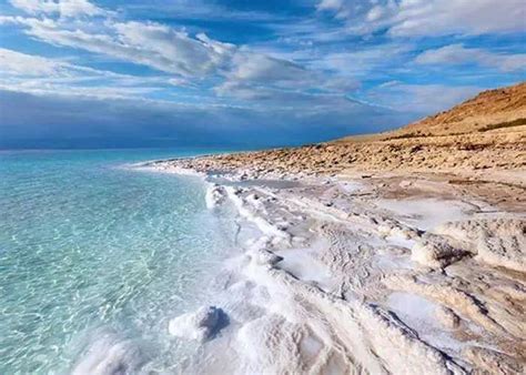 死海为什么被称为“死海”？真没有任何生物在里面生存吗？|死海|含盐量|生物_新浪新闻