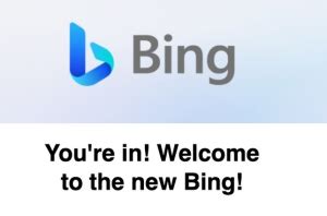 新必应（New Bing）国内申请与使用教程_搞趣网