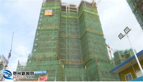 抓速度 赶进度 确保市庆项目有序推进 - 项目建设 - 广西贺州城建投资集团有限公司