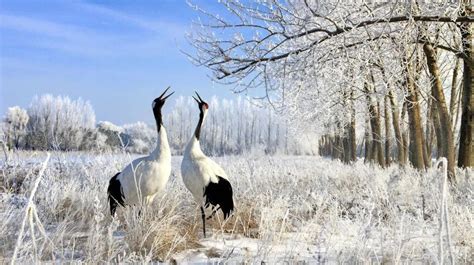 甘肃省冬天最低温度是多少-甘肃省冬天最低温度介绍-六六健康网