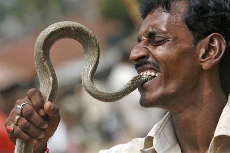 印度一部关于蛇的电影。-印度电影