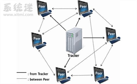最新Tracker服务器地址 提升BT种子、磁力链接下载速度-系统迷