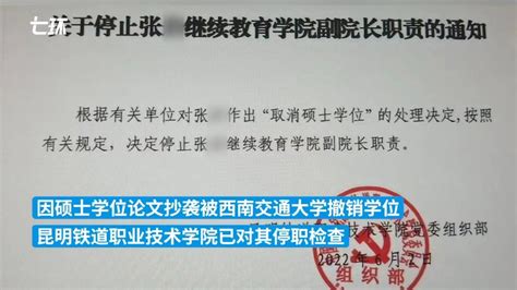 云南一高校副院长因论文抄袭被停职 举报人：和她并无恩怨_手机新浪网