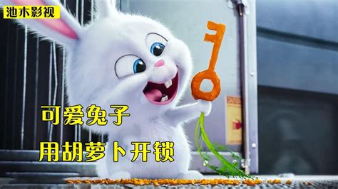 兔子为了救出同伴，把胡萝卜啃成钥匙，动画电影《爱宠大机密》_高清1080P在线观看平台_腾讯视频