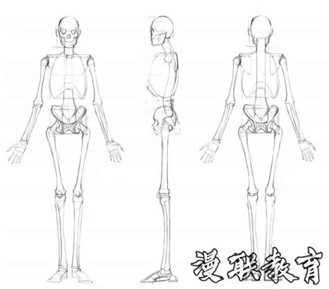 肌肉骨骼|纯艺术|素描|chengyuan元 - 原创作品 - 站酷 (ZCOOL)