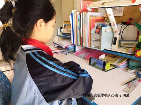 锦州市实验学校-三（25）中队“寒假十课”学习成果集锦