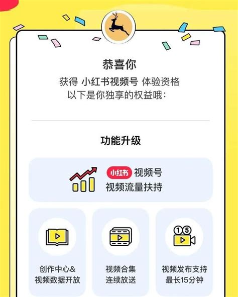 2020小红书互动直播平台招商合作_文库-报告厅