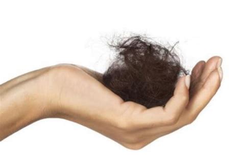 你的毛囊萎缩了，还谈什么长头发？_再出发头皮管理_新浪博客