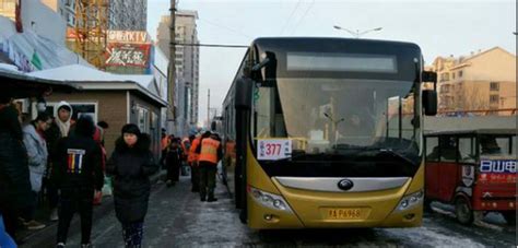 哈尔滨三条公交线路增新车 市民可以坐暖和车了_新浪黑龙江_新浪网