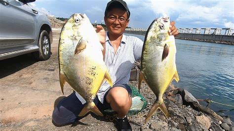 思乡渔夫：深海桥墩下全大鱼，3斤一条算小的，今天钓爽了_腾讯视频