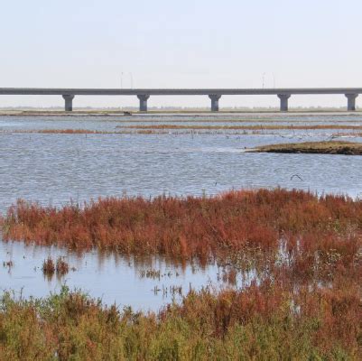 青海国家湿地公园分布及功能区划 - 知乎
