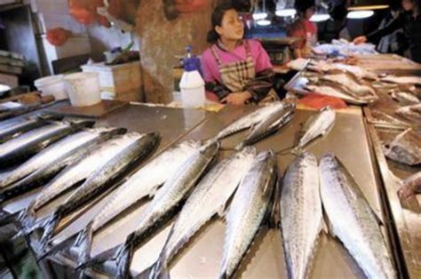 山东青岛海鲜市场现305斤巨型石斑鱼 - 海洋财富网