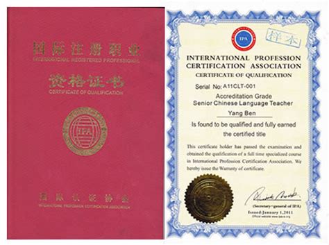儒森教育 - IPA对外汉语教师资格证成对外汉语行业从业标准 - 商业电讯-IPA,对外汉语教师资格证,对外汉语,